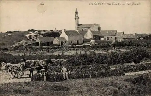 Ak Carantec Finistère, Gesamtansicht