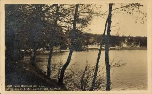 Ak Hamr na Jezeře Hammer am See Region Reichenberg, Hammersee, Hotel Seehof, Kurhaus