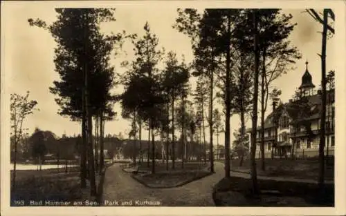 Ak Hamr na Jezeře Hammer am See Region Reichenberg, Park und Kurhaus