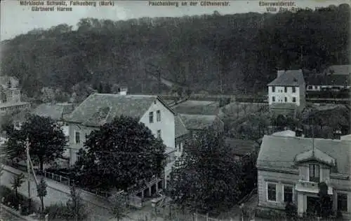 Ak Falkenberg i.d. Mark, Gärtnerei Harms, Paschenberg, Cöthener Str., Eberswalder Str., Villa Flachs