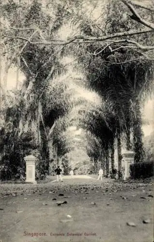 Ak Singapur, Botanischer Garten, Eingang