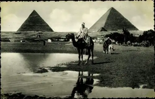 Ak Gizeh Ägypten, The Pyramids, Kamele, Einheimische