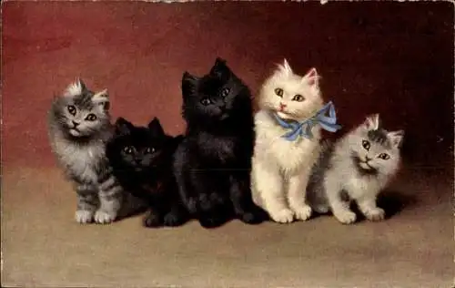 Ak Fünf junge Katzen, Gruppenbild, Schleife