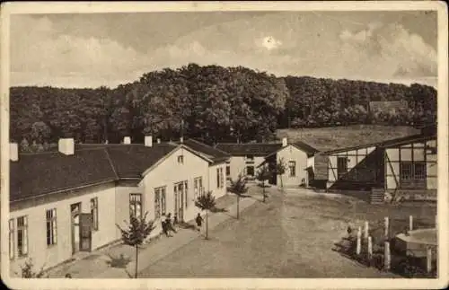 Ak Münchehagen Rehburg Loccum in Niedersachsen, Schullandheim