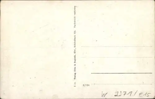 Ak Breiholz an der Eider Holstein, Teilansicht