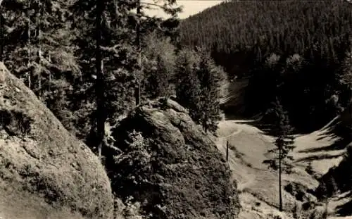 Ak Fehrenbach Masserberg in Thüringen, Eselsgrund