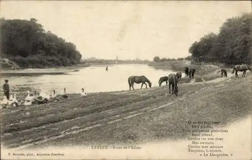 Ak Landes, Rives de l'Adour, Gedicht