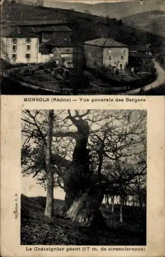 Ak Monsols Rhône, Vue generale des Berges, La Chatsignier geant