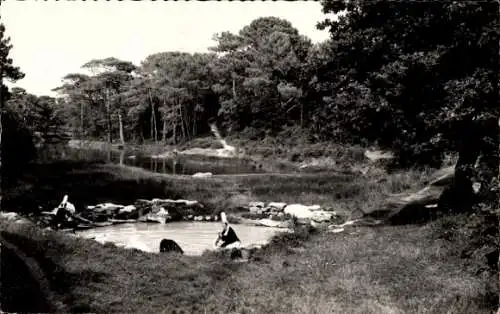 Ak Loctudy Finistère, Le Suler