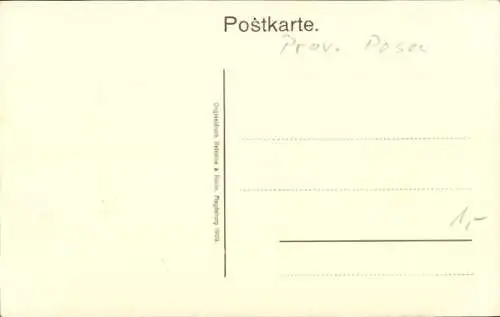Ak Poznań Posen, Dom