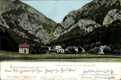 Ak Reichenau an der Rax Niederösterreich, Hotel Thalhof mit Wald und Hubertus Villa