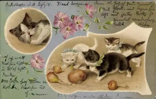 Präge Litho Junge Katzen, Zwiebeln, Blütenranke