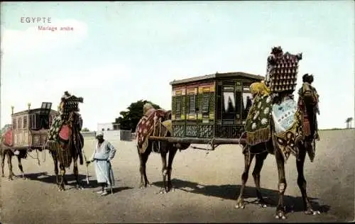 Ak Port Said Ägypten, arabische Hochzeit, Kamele