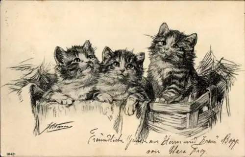 Künstler Litho Drei junge Katzen im Korb