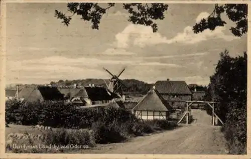 Ak Odense Dänemark, Teilansicht, Windmühle