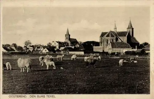 Ak Oosterend Texel Nordholland Niederlande, Schafe auf der Wiese, Kirche