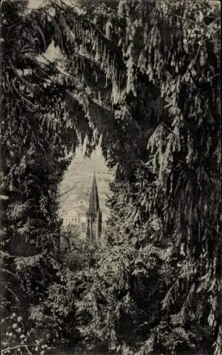 Ak Freiburg im Breisgau, Münster, Blick von der Brücke, Schlossberg