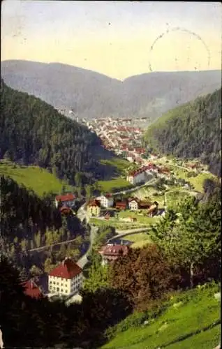 Ak Triberg im Schwarzwald, vom Hohnen aus