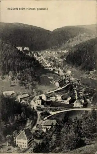 Ak Triberg, Panorama vom Hohnen gesehen, Wälder