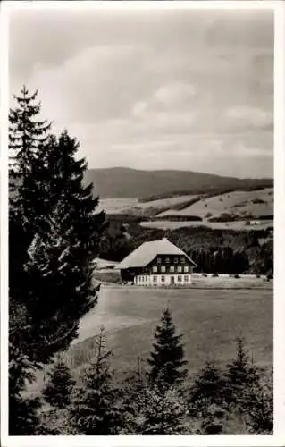 Ak Breitnau im Schwarzwald, Hohlengraben, Gasthaus zum Kreuz