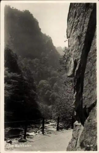 Ak Thale im Harz, Bodetal am Waldkater