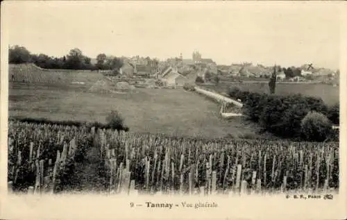 Ak Tannay Nièvre, Gesamtansicht