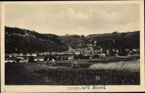 Ak Uerzig Ürzig an der Mosel, Gesamtansicht