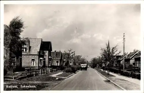 Ak Kollum Fryslân Niederlande, Eskeslaan