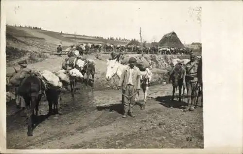 Foto Ak Balkan, Zigeuner mit Pferden