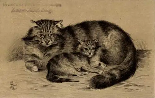 Künstler Litho Katzenmutter, Jungtier, Kätzchen