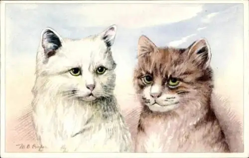 Künstler Ak Coopy, M., B., Katzenportrait, Braune und weiße Katze