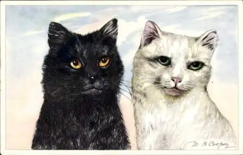 Künstler Ak Coopy, M., B., Katzenportrait, Schwarze und weiße Katze