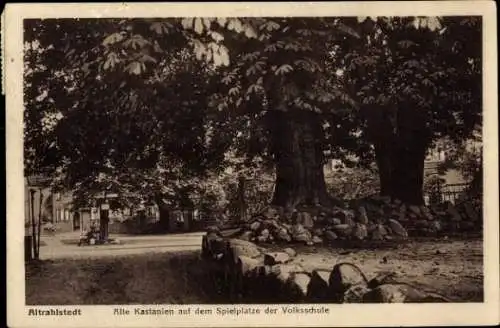 Ak Hamburg Wandsbek Alt-Rahlstedt, Spielplatz der Volksschule, Kastanienbäume