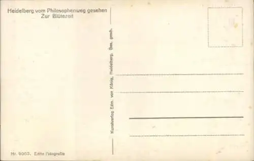 Ak Heidelberg am Neckar, Teilansicht, Blick vom Philosophenweg, Blütezeit