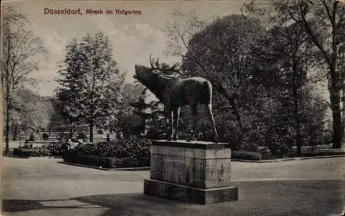 Ak Düsseldorf am Rhein, Hirsch im Hofgarten