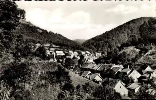 Ak Zorge Walkenried im Harz, Mittelzorge