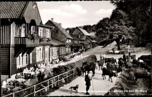 Ak Bad Harzburg am Harz, Molkenhaus, Harzhotel, Kuhherde