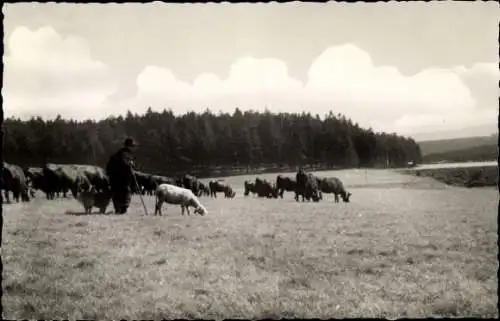 Ak Buntenbock Clausthal Zellerfeld Oberharz, Hirte, Kuhherde