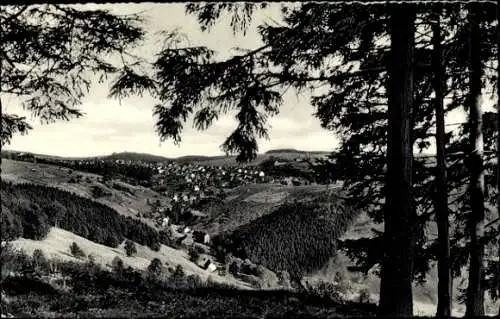 Ak Sankt Andreasberg Braunlage im Oberharz, Blick vom Treibholz