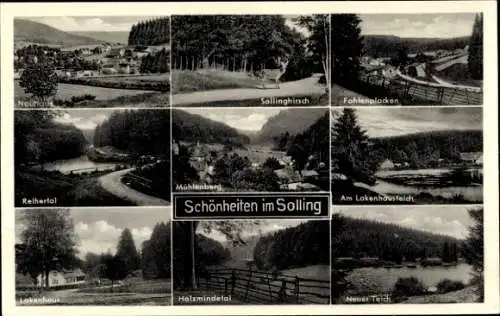 Ak Mühlenberg im Solling Holzminden an der Weser, Reihertal, Lakenhaus, Sollinghirsch