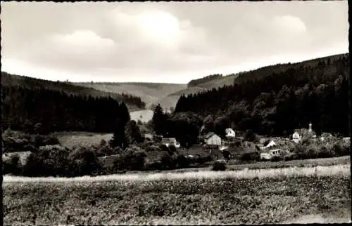 Ak Fohlenplacken Holzminden in Niedersachsen, Totalansicht