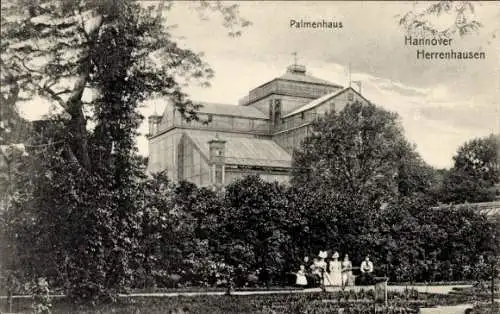 Ak Herrenhausen Hannover in Niedersachsen, Palmenhaus