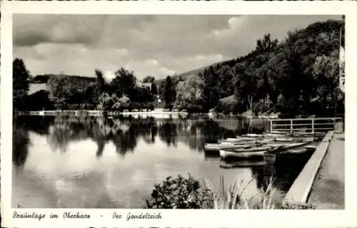 Ak Braunlage im Oberharz, Gondelteich