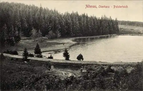 Ak Altenau Clausthal Zellerfeld im Oberharz, Polsterteich