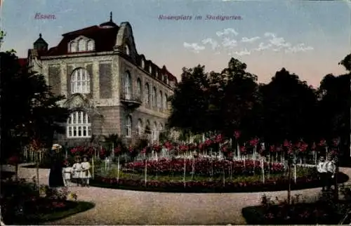 Ak Essen im Ruhrgebiet, Rosenplatz im Stadtgarten