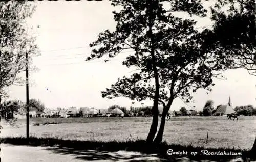 Ak Roordahuizum Leeuwarden Fryslân Niederlande, Blick auf das Dorf