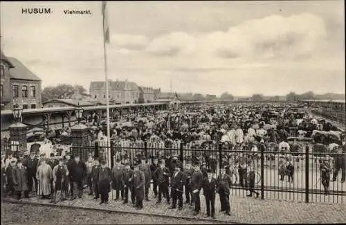 Ak Husum in Nordfriesland, Viehmarkt