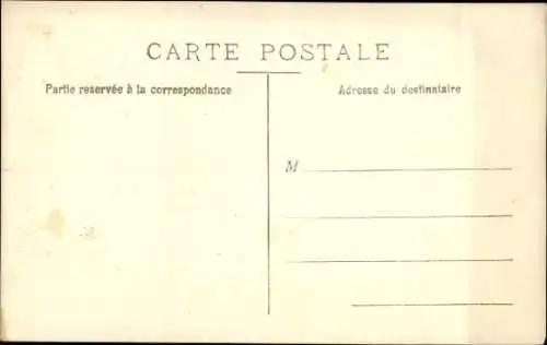 Foto Ak Drei Hunde, Pekingesen