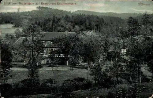 Ak Neumühle an der Elster Greiz in Thüringen, Restaurant Knottenmühle, Blick vom Amselstein