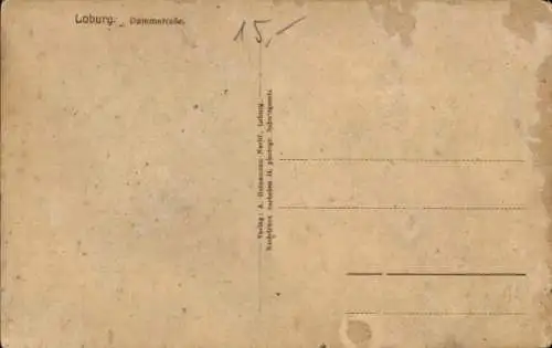 Ak Loburg Möckern in Sachsen Anhalt, Dammstraße